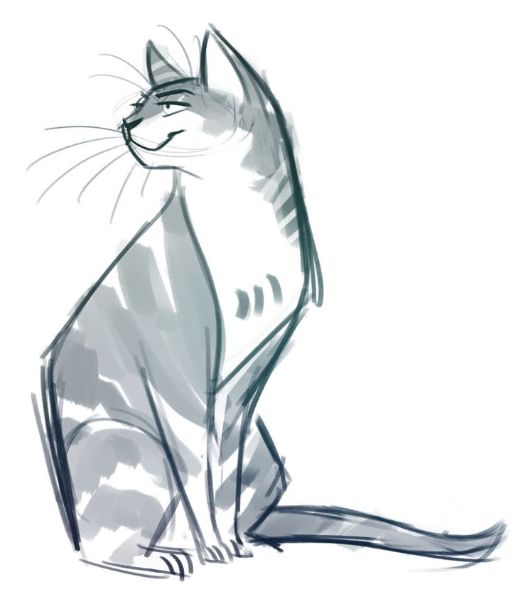 Fluffy Cat Drawing at GetDrawings | Free download