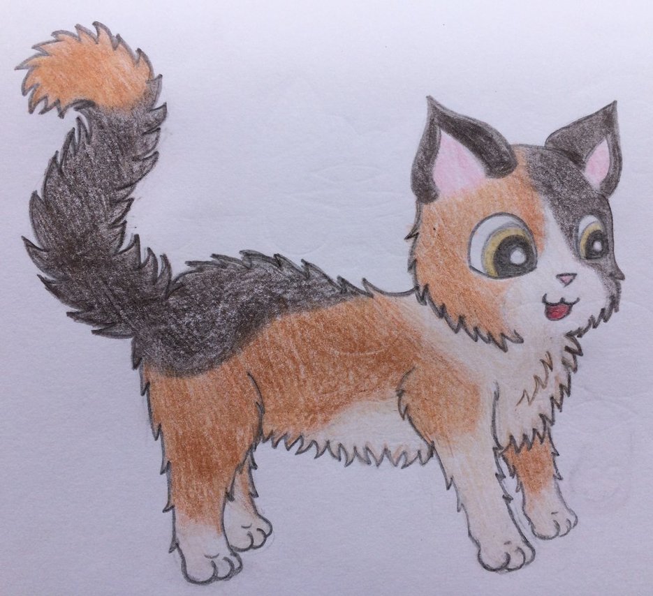 Fluffy Cat Drawing at GetDrawings Free download