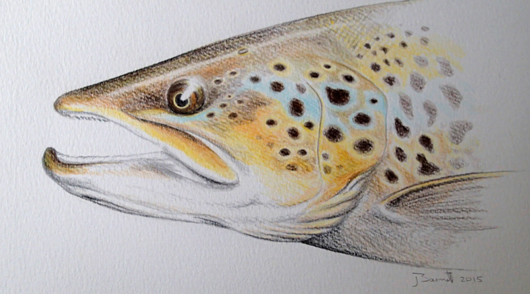 Fly Fishing Drawing at GetDrawings Free download