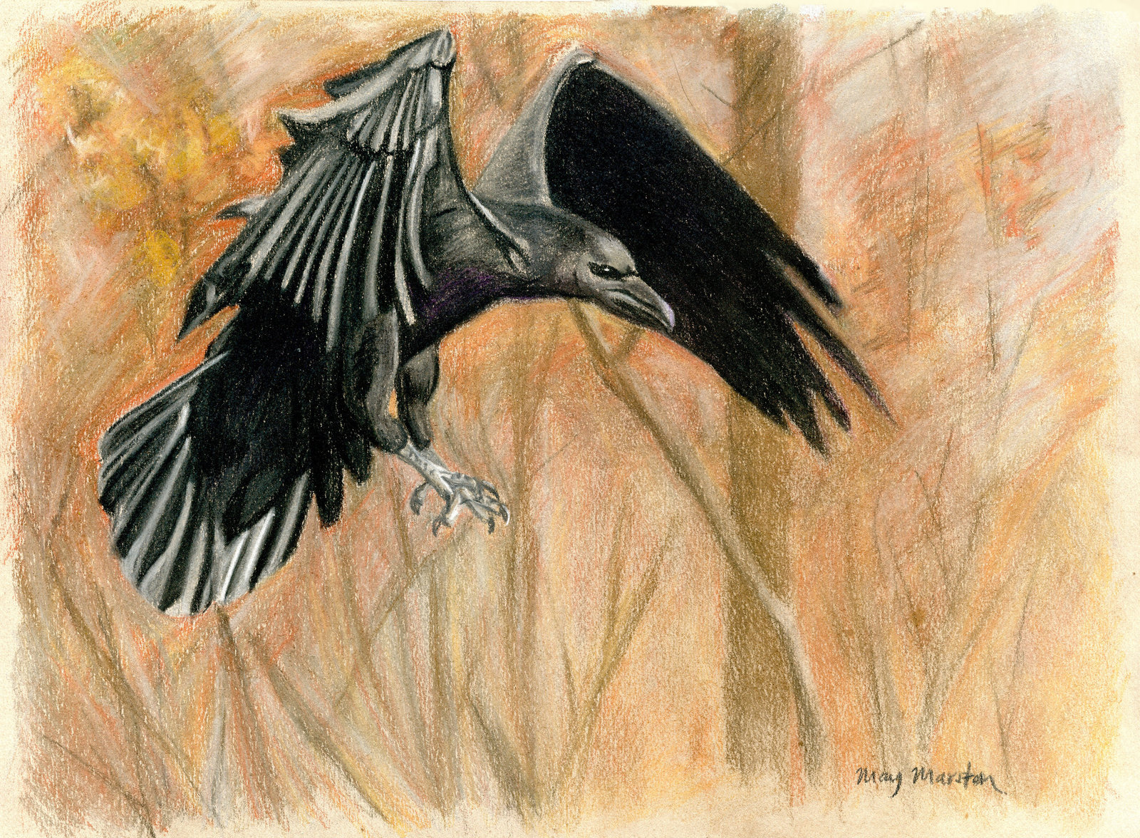 Flying Crow Drawing at GetDrawings | Free download