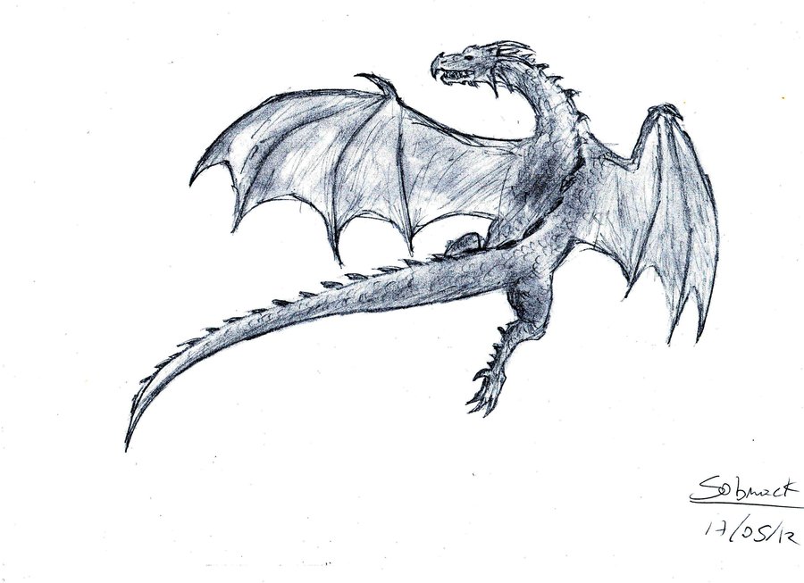 Flying Dragon Drawing at GetDrawings Free download