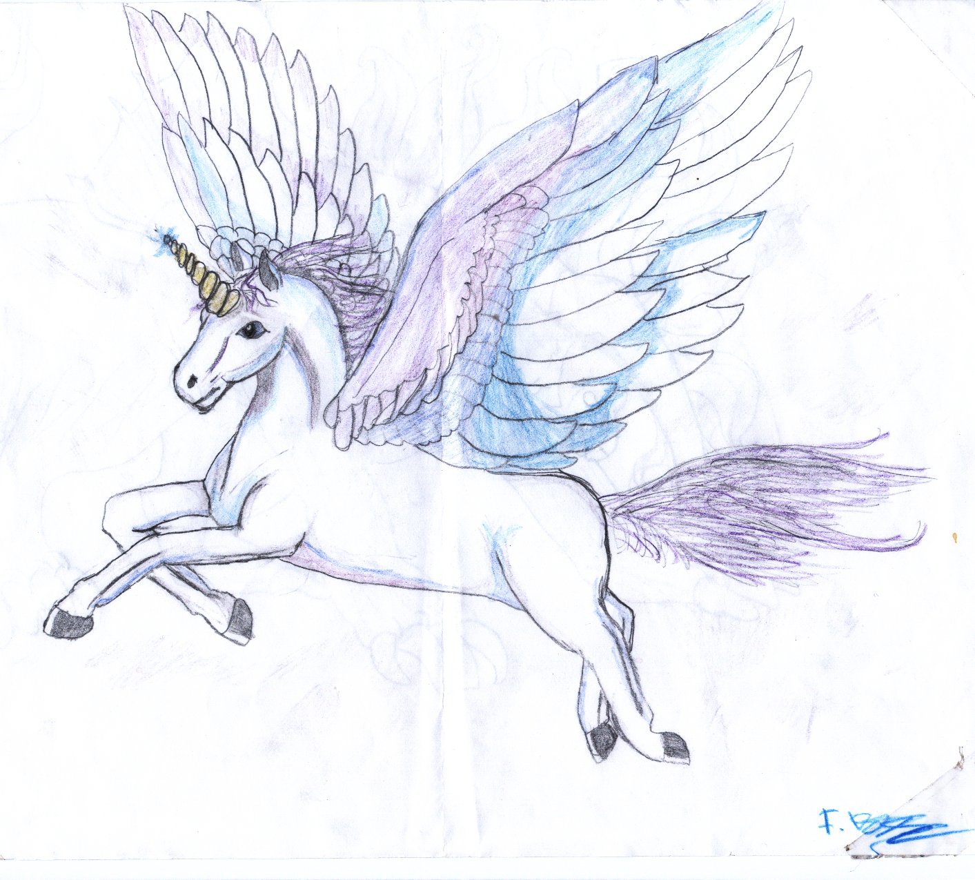 Flying Unicorn Drawing at GetDrawings Free download