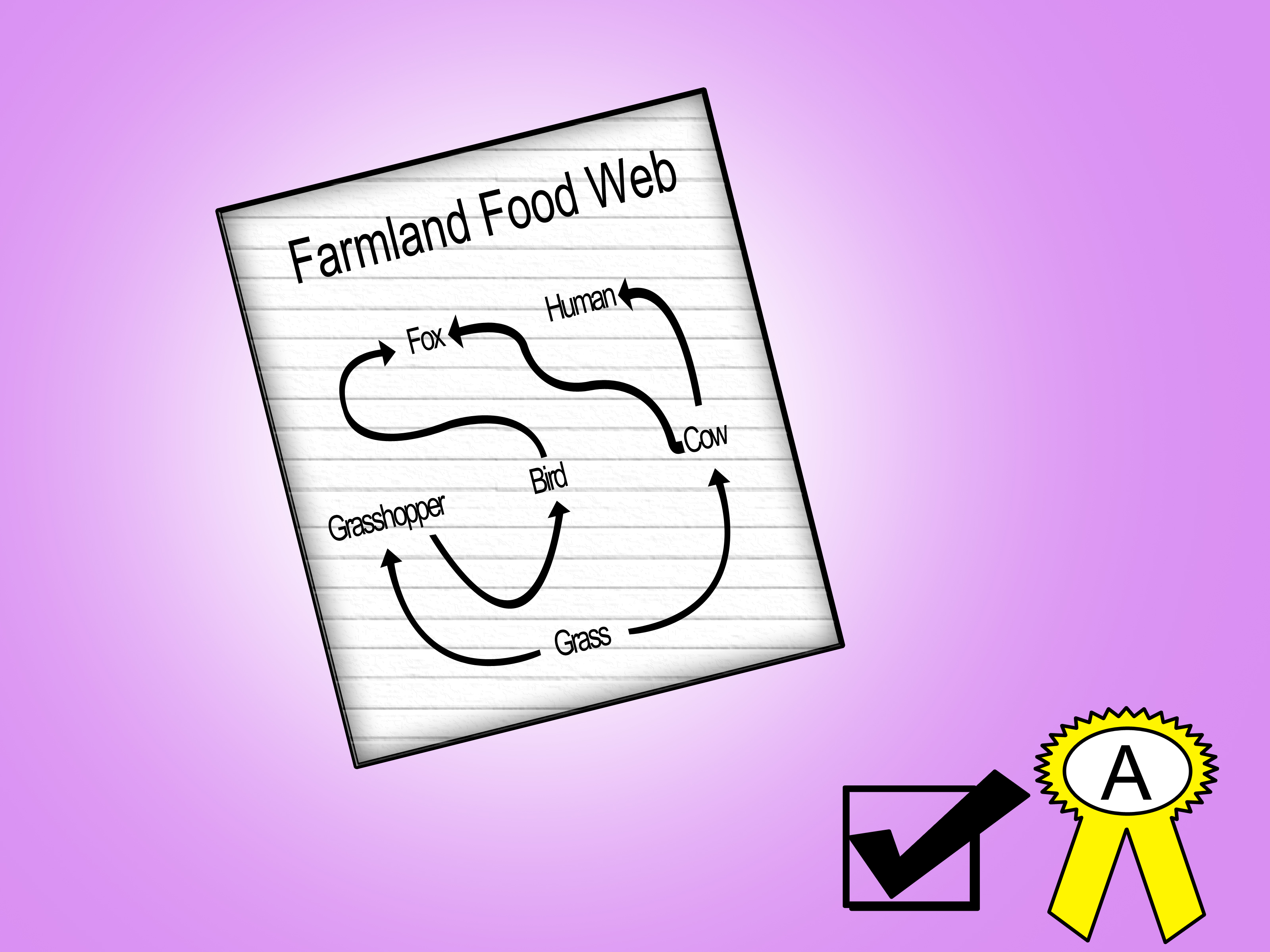 Food Chain Drawing At GetDrawings Free Download