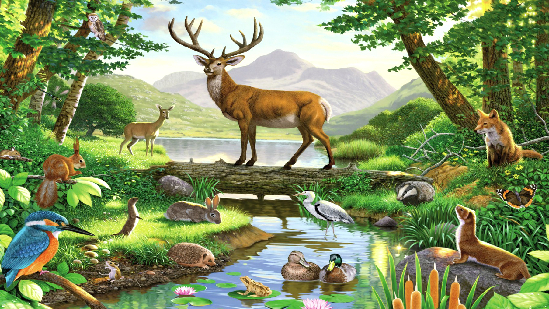 Forest Animals Drawing at GetDrawings | Free download