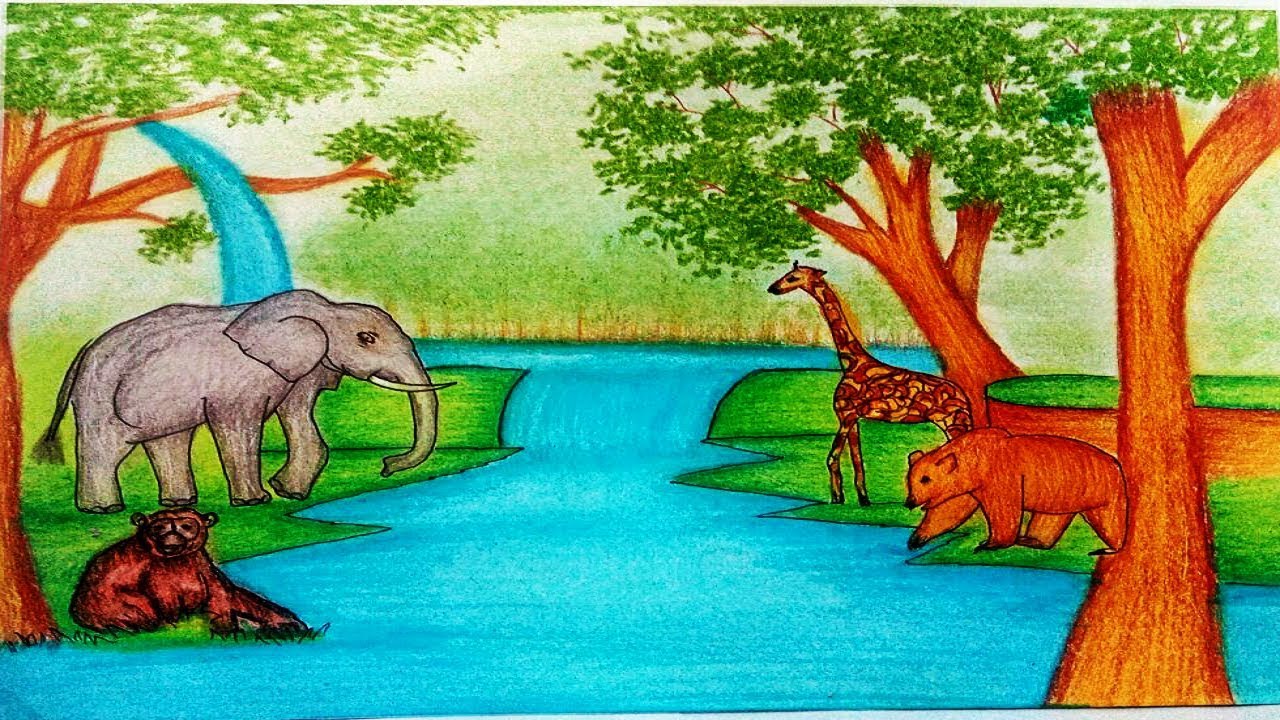 Forest Animals Drawing at GetDrawings Free download