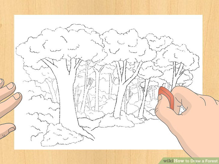 Forest Drawing Easy at GetDrawings | Free download