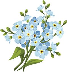 Forget Me Not Drawing at GetDrawings | Free download