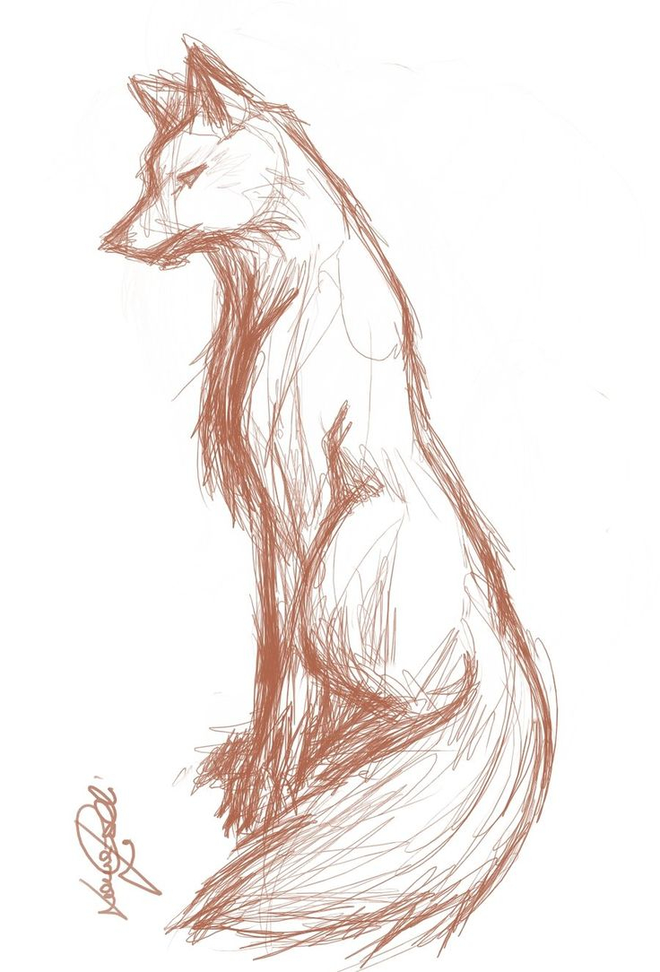 Fox Drawing Images at GetDrawings | Free download