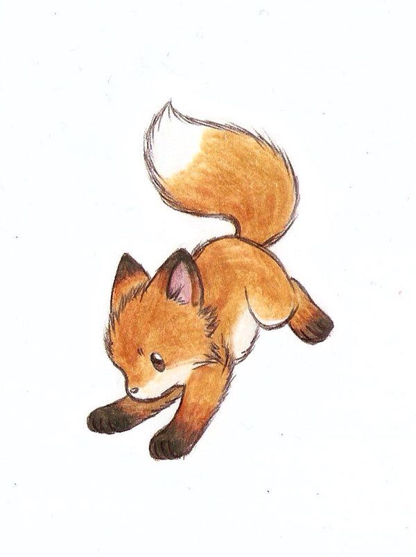 Fox Simple Drawing at GetDrawings Free download