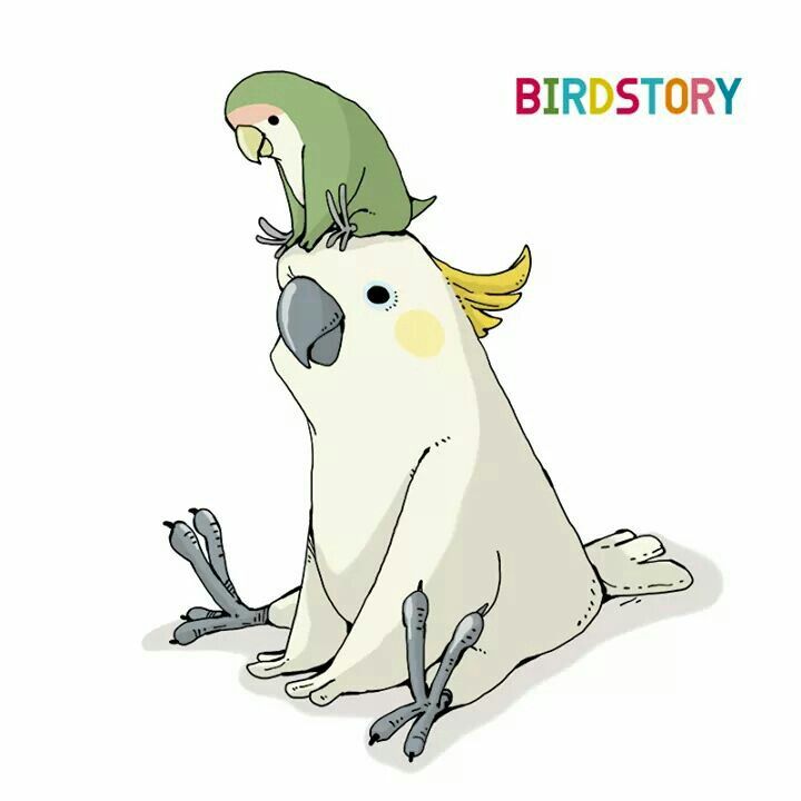 Funny Bird Drawing at GetDrawings Free download