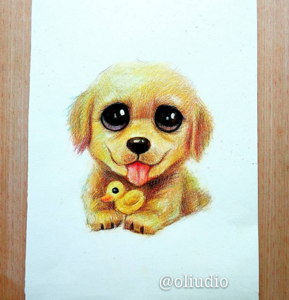 Funny Dog Drawing at GetDrawings Free download