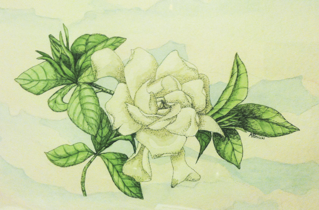 Cool Easy Gardenia Flower Drawing | Invisible Blogger