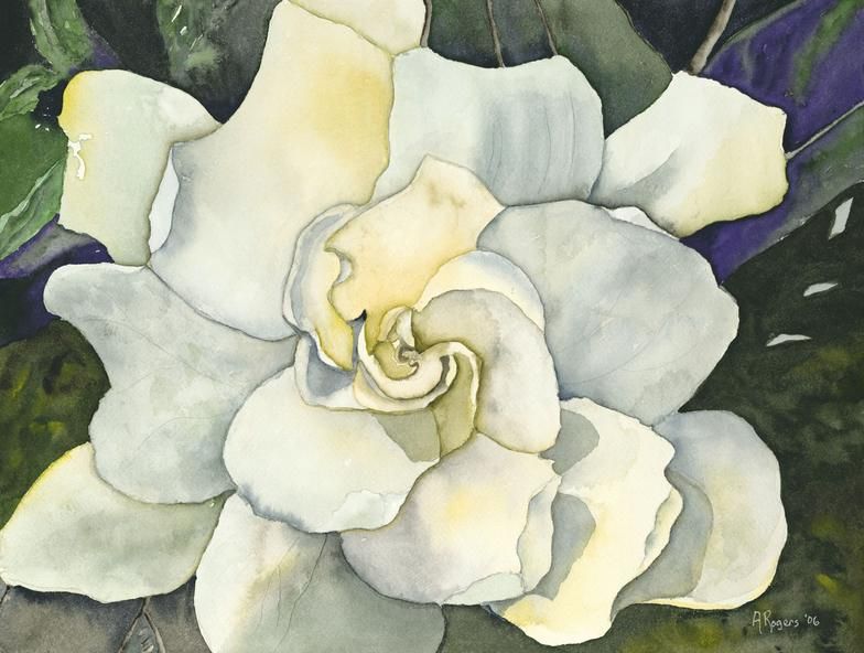 Gardenia Drawing at GetDrawings | Free download