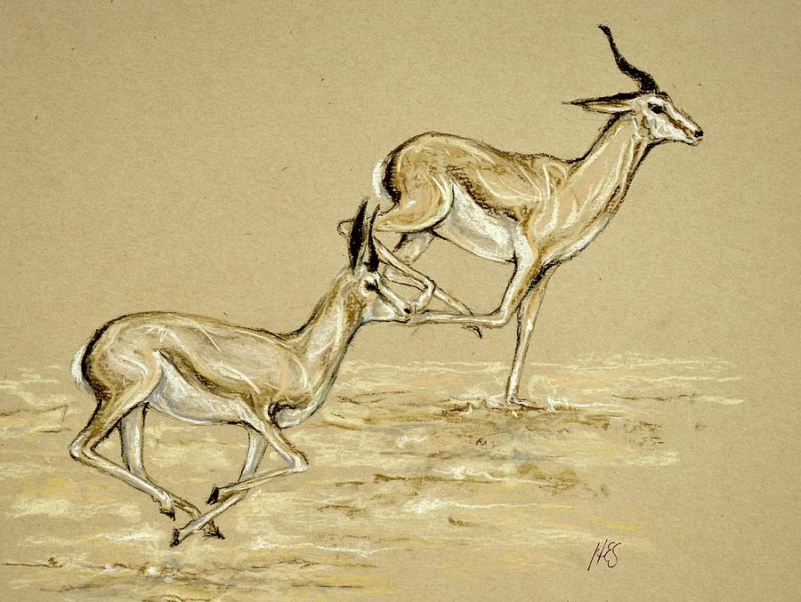 Gazelle Drawing at GetDrawings Free download