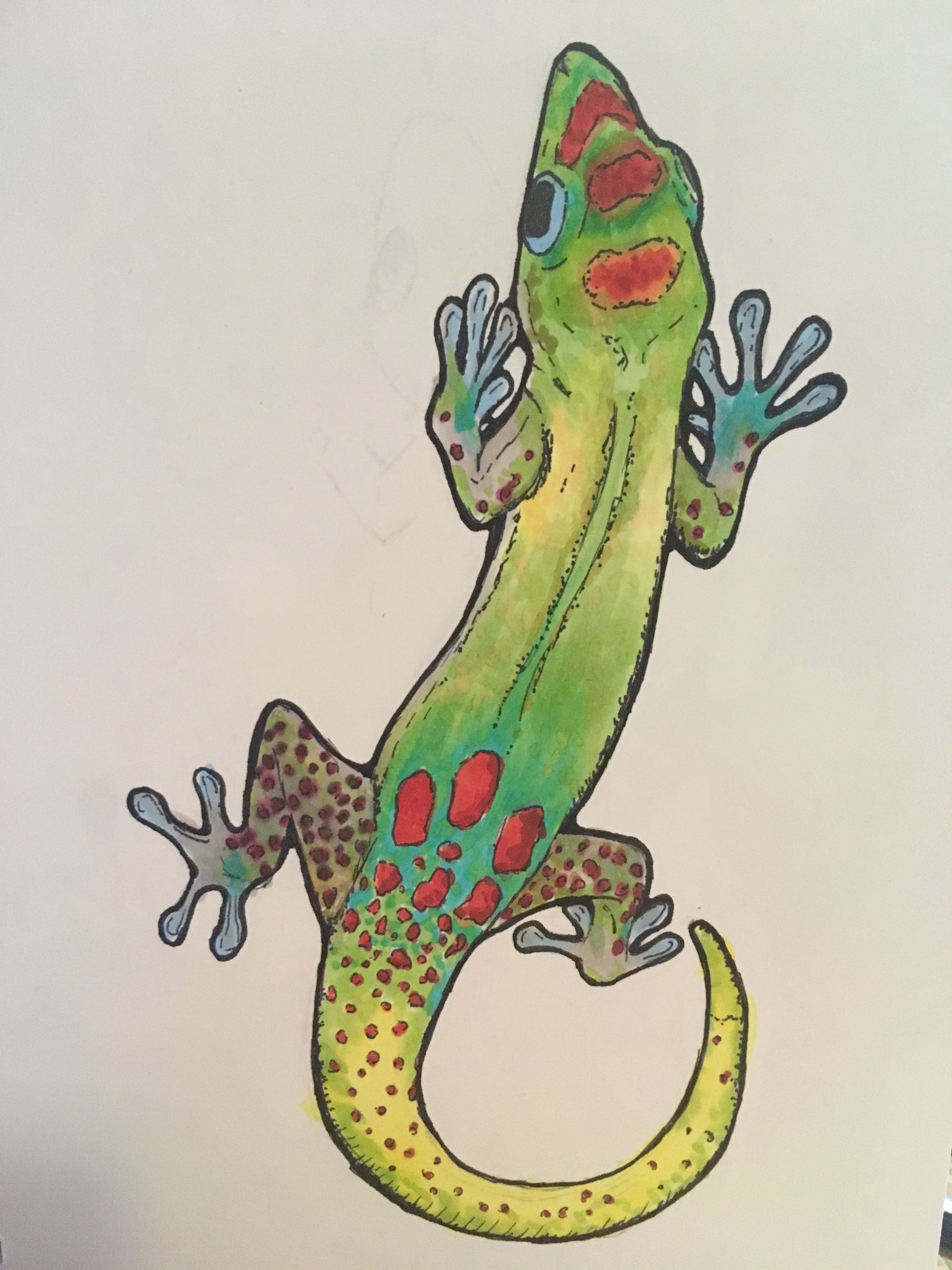 Gecko Drawing at GetDrawings Free download
