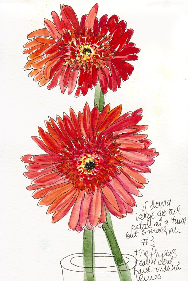 Gerber Daisy Drawing at GetDrawings Free download