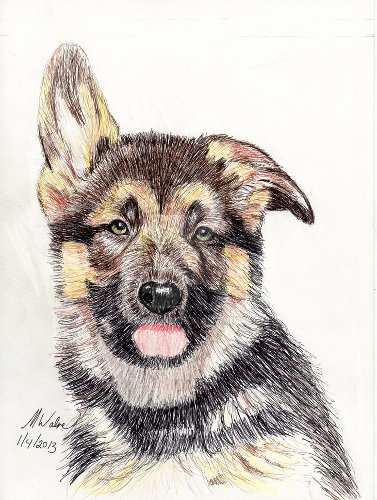 German Shepherd Puppy Drawing at GetDrawings Free download