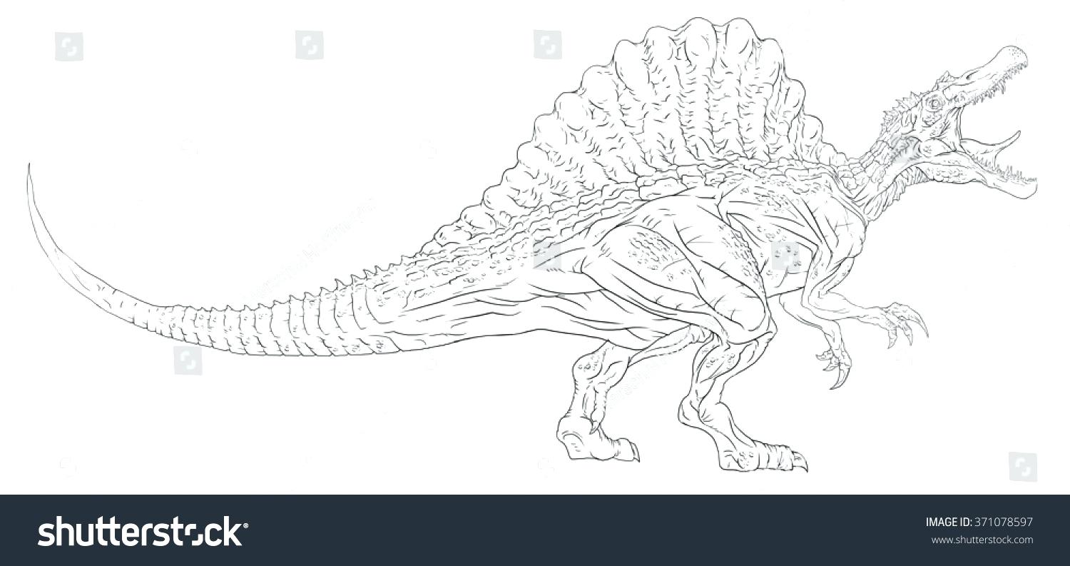 Спинозавр рисунок для детей поэтапно