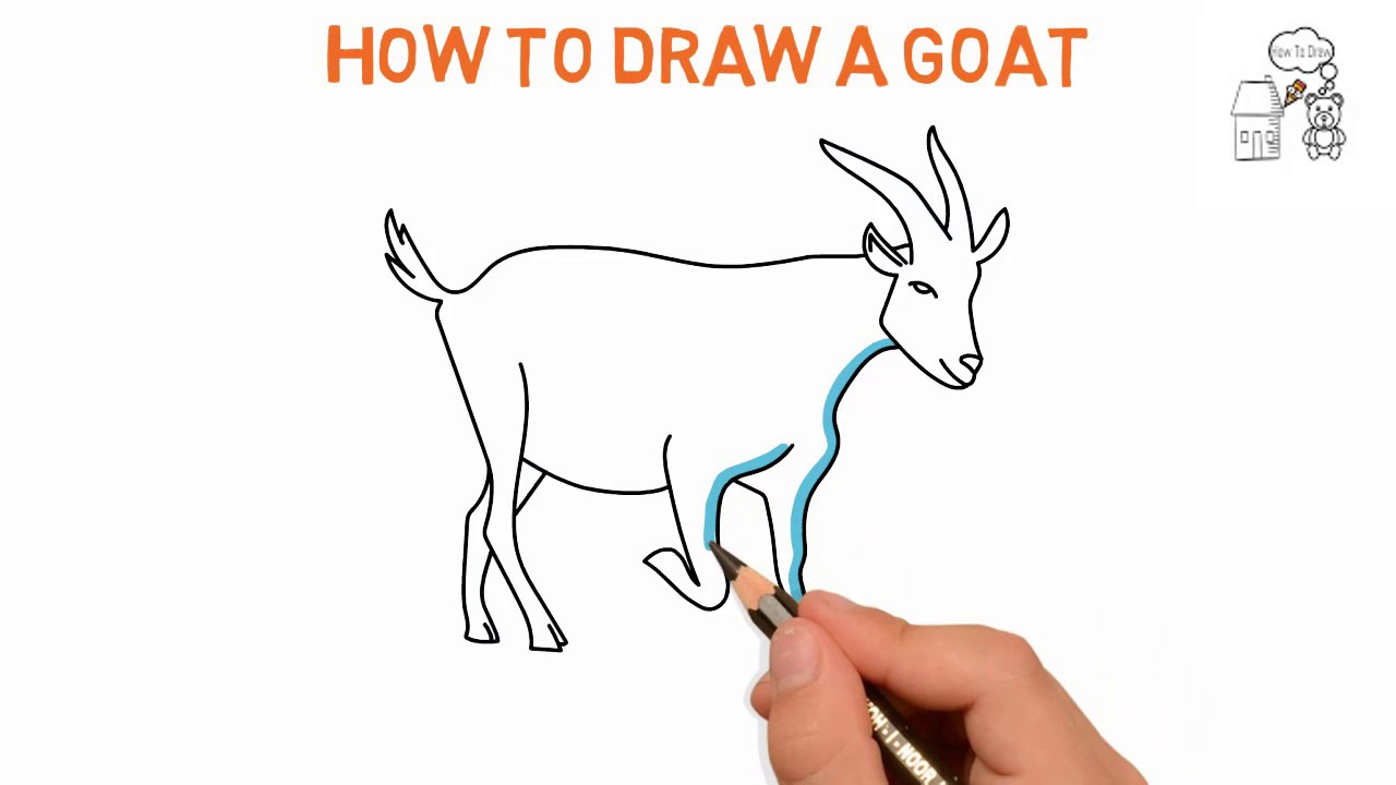 Goat Drawing at GetDrawings | Free download