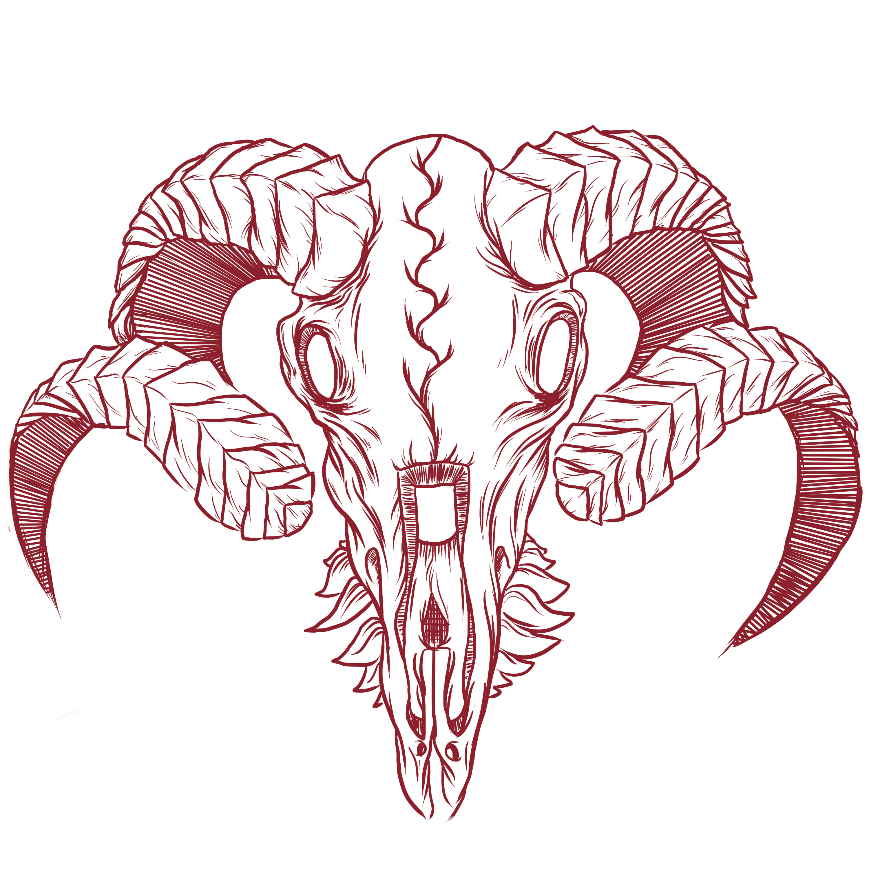 Goat Skull Drawing at GetDrawings Free download