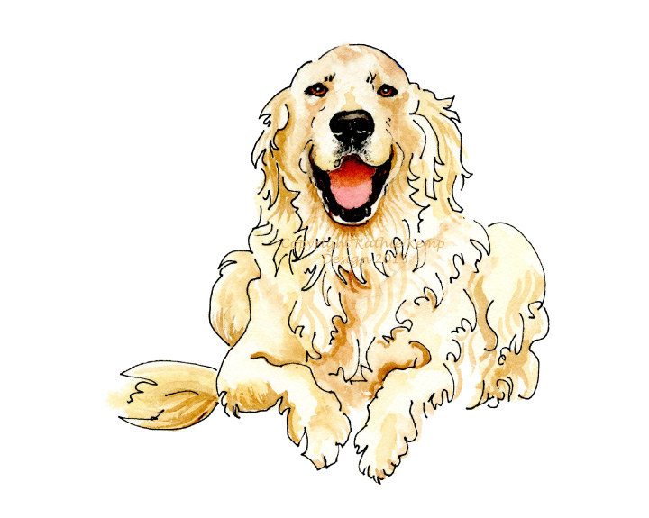 Golden Retriever Drawing at GetDrawings | Free download
