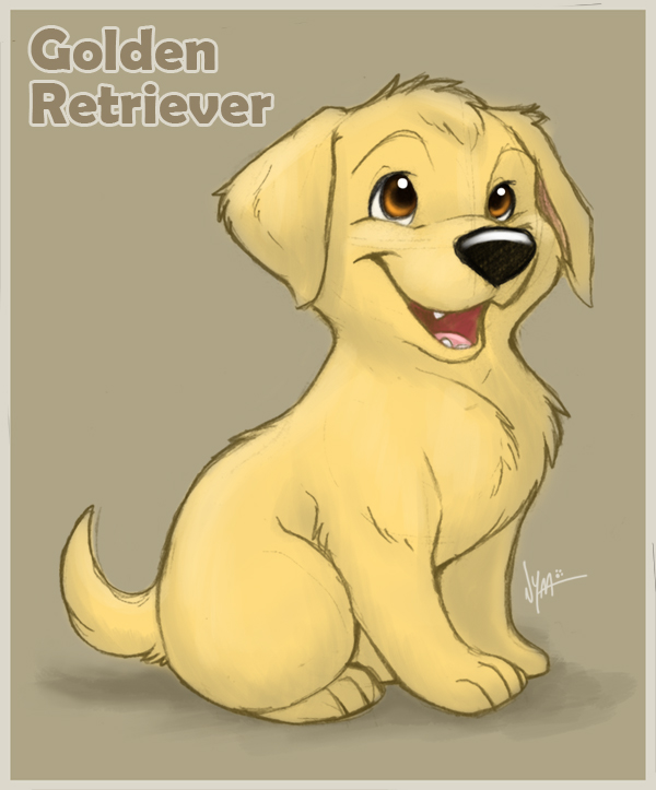 Golden Retriever Puppy Drawing at GetDrawings | Free download