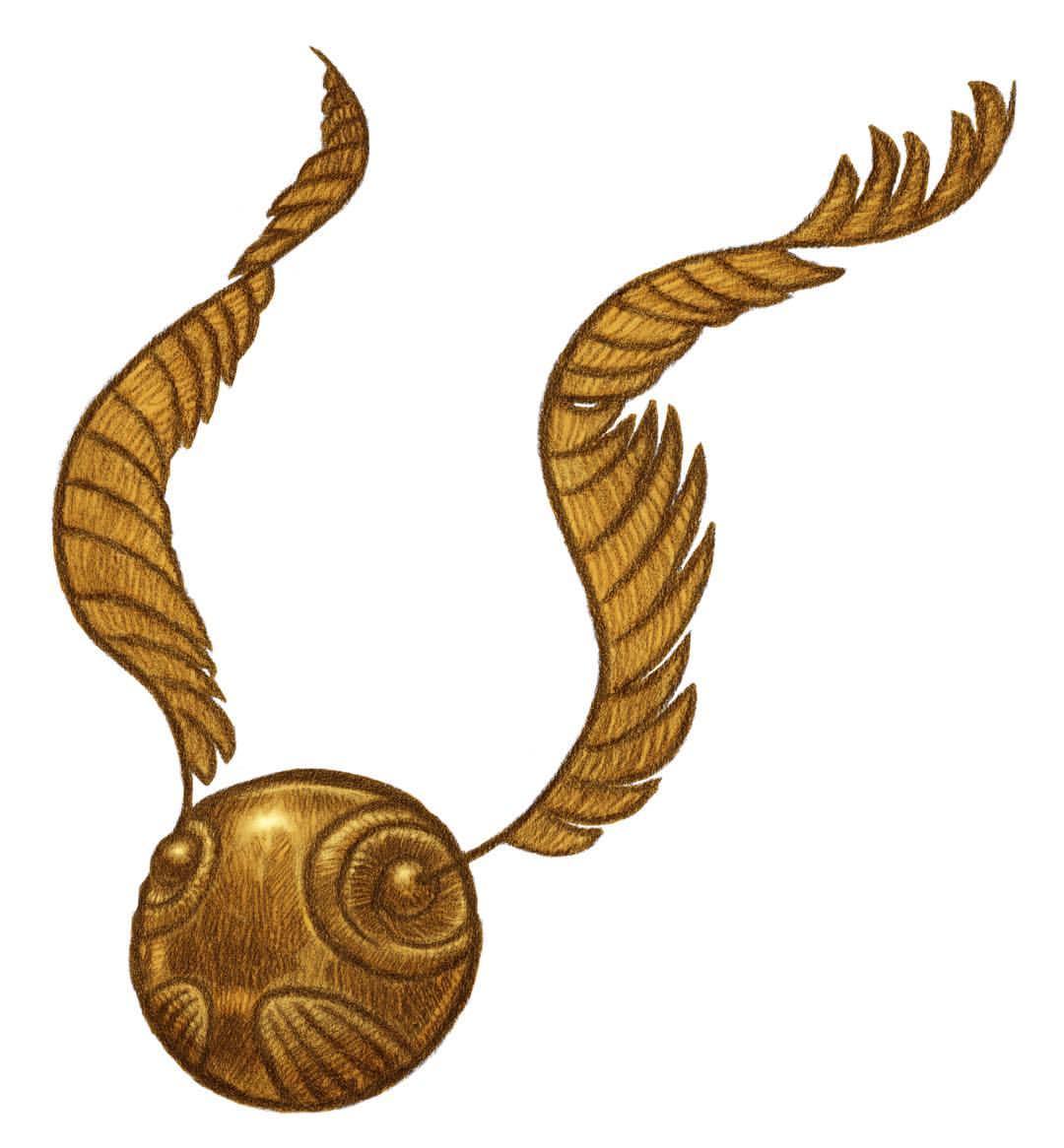 Golden Snitch Drawing at GetDrawings | Free download