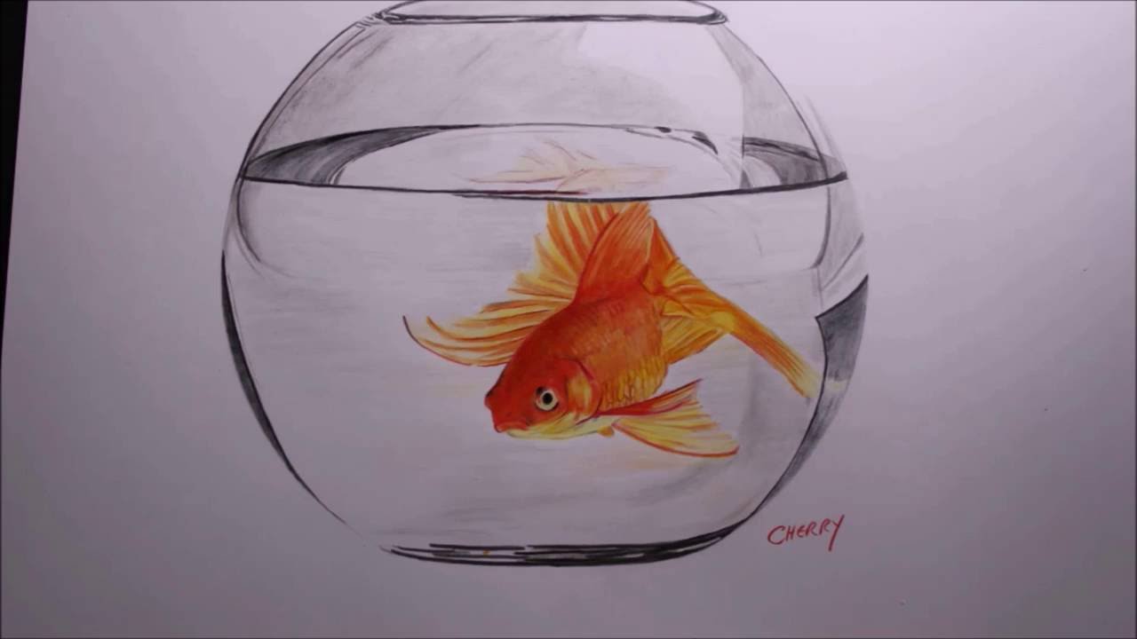 Goldfish Bowl Drawing at GetDrawings Free download