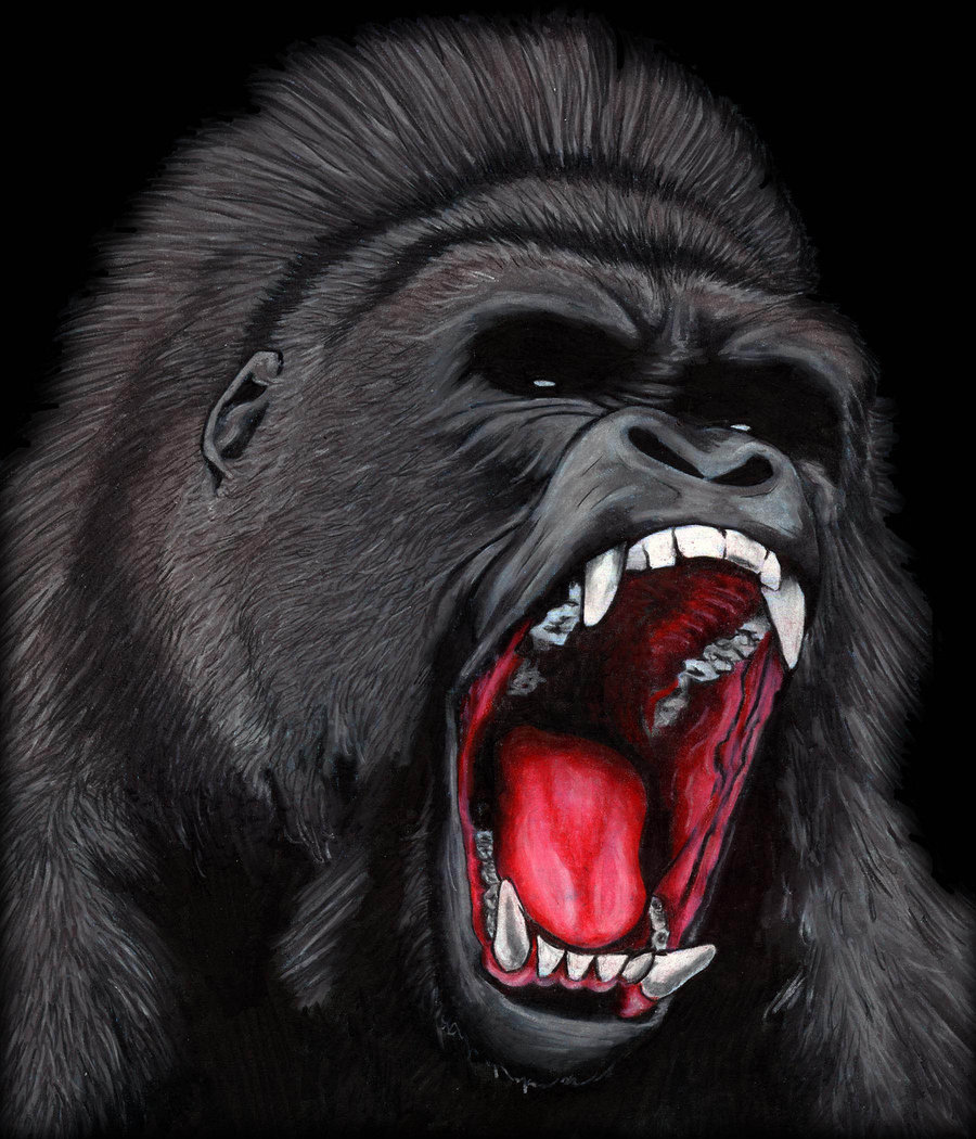 Gorilla Face Drawing at GetDrawings | Free download