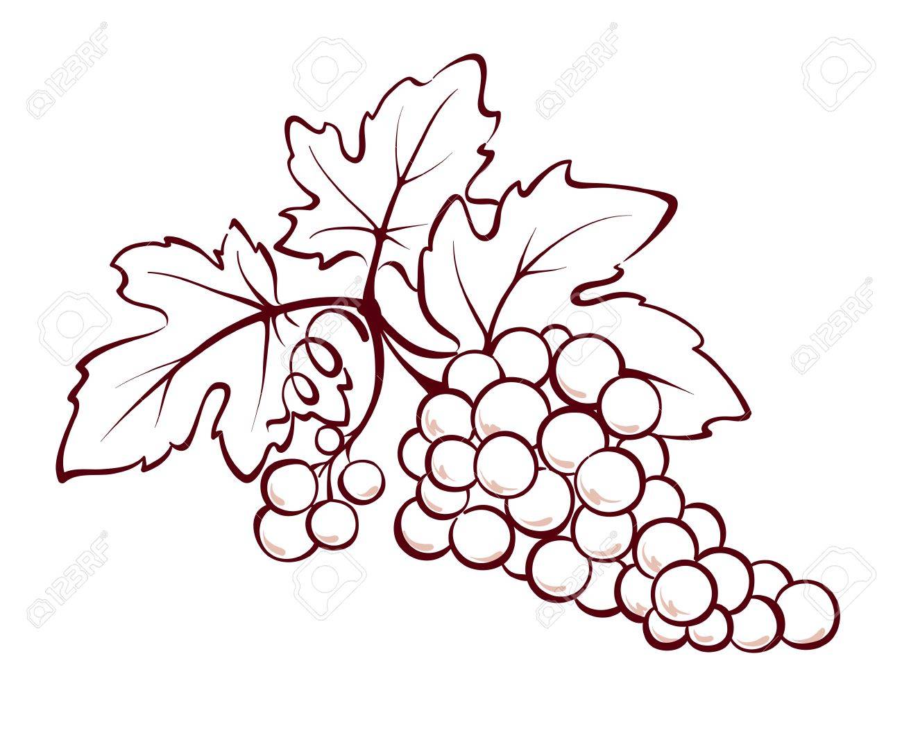 Grape Leaf Drawing at GetDrawings Free download