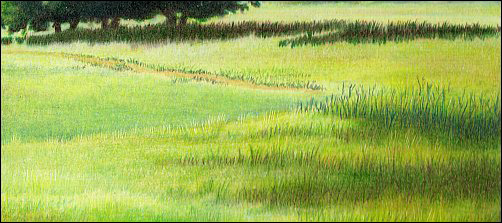 Grass Field Drawing at GetDrawings | Free download