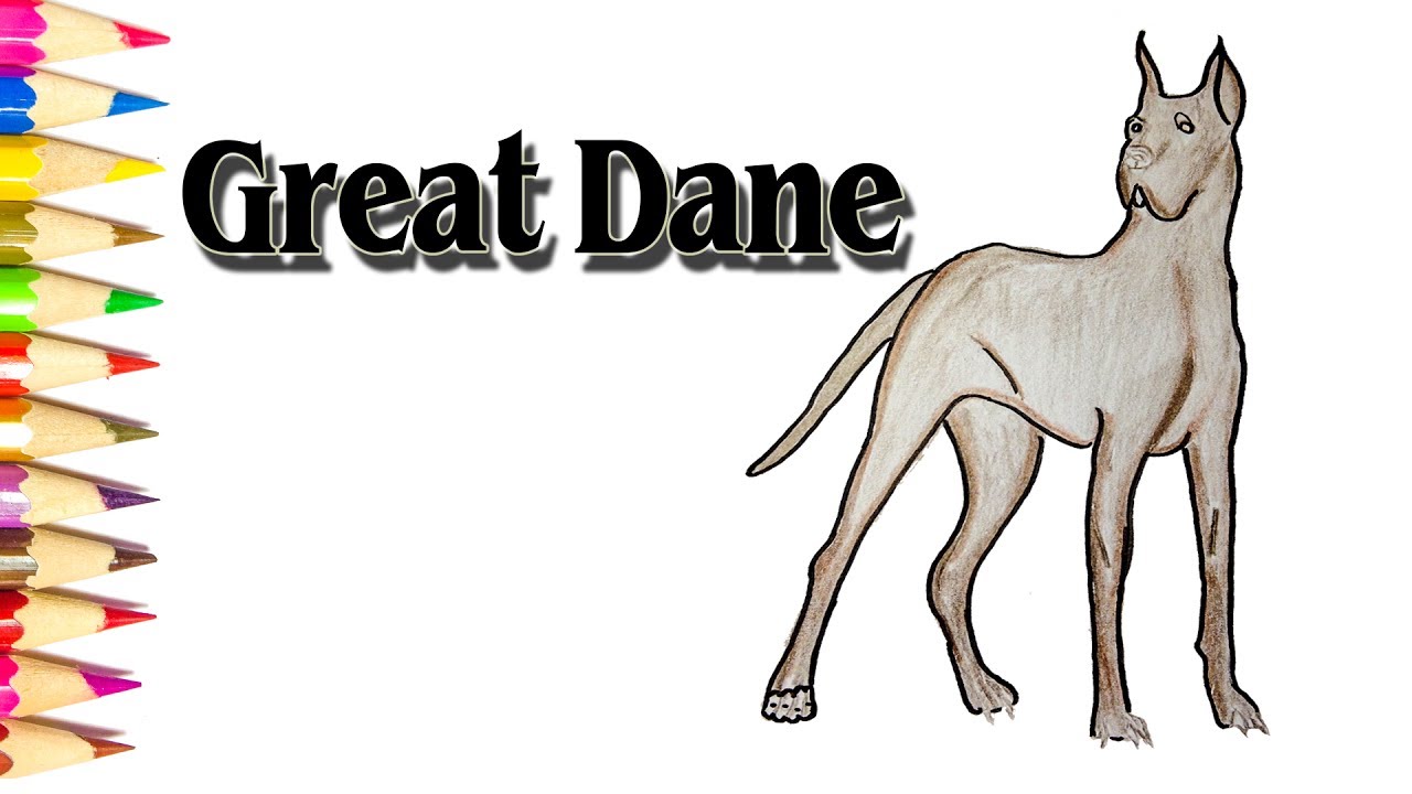 great-dane-drawing-at-getdrawings-free-download