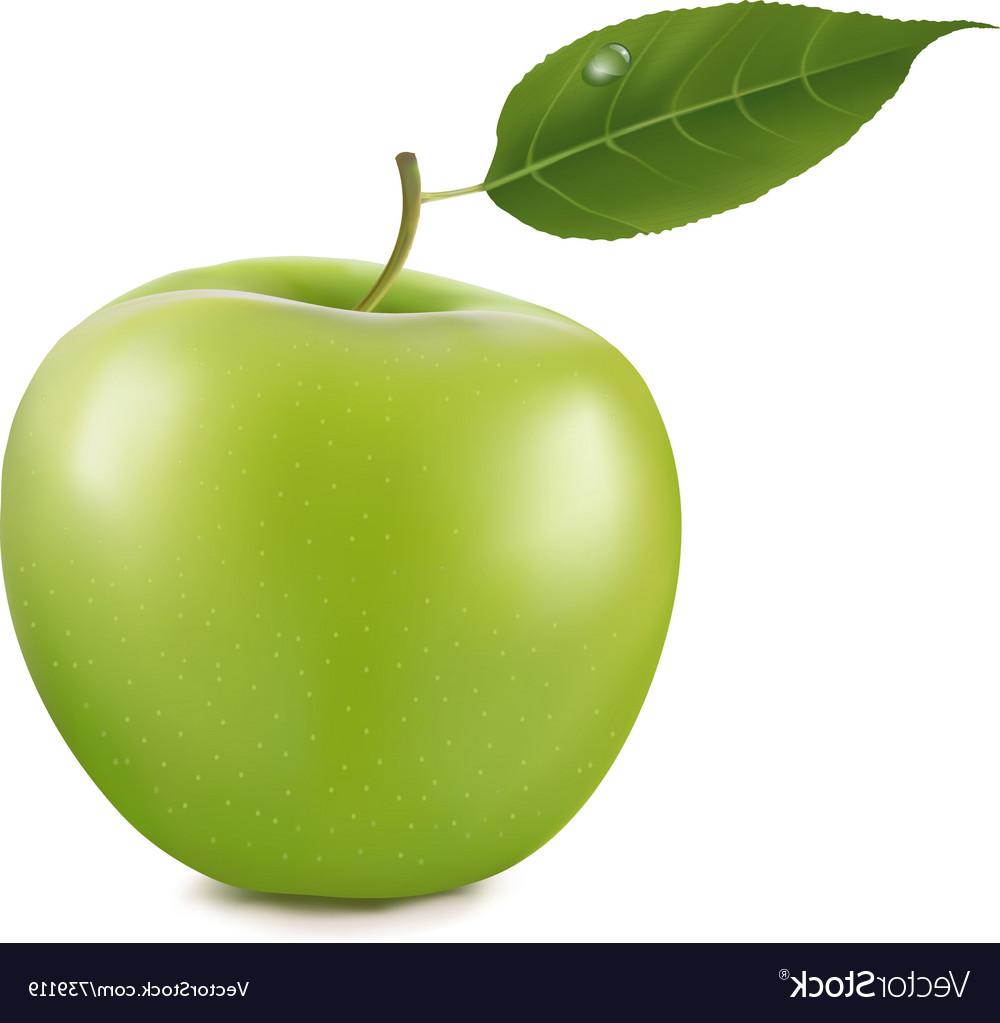 Green Apple Drawing at GetDrawings Free download
