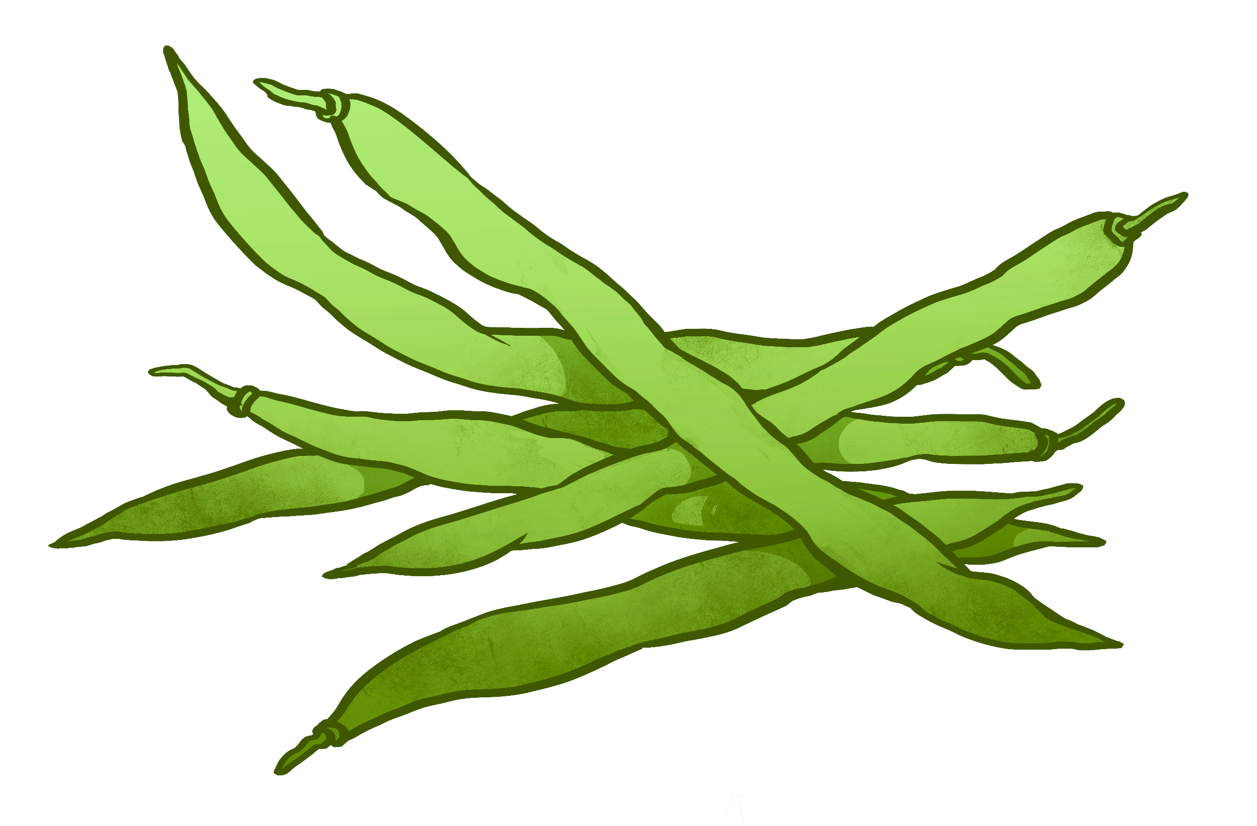 Green Beans Drawing at GetDrawings Free download