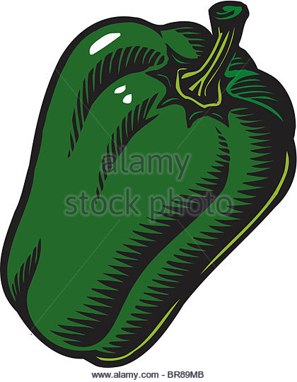 Green Pepper Drawing at GetDrawings | Free download