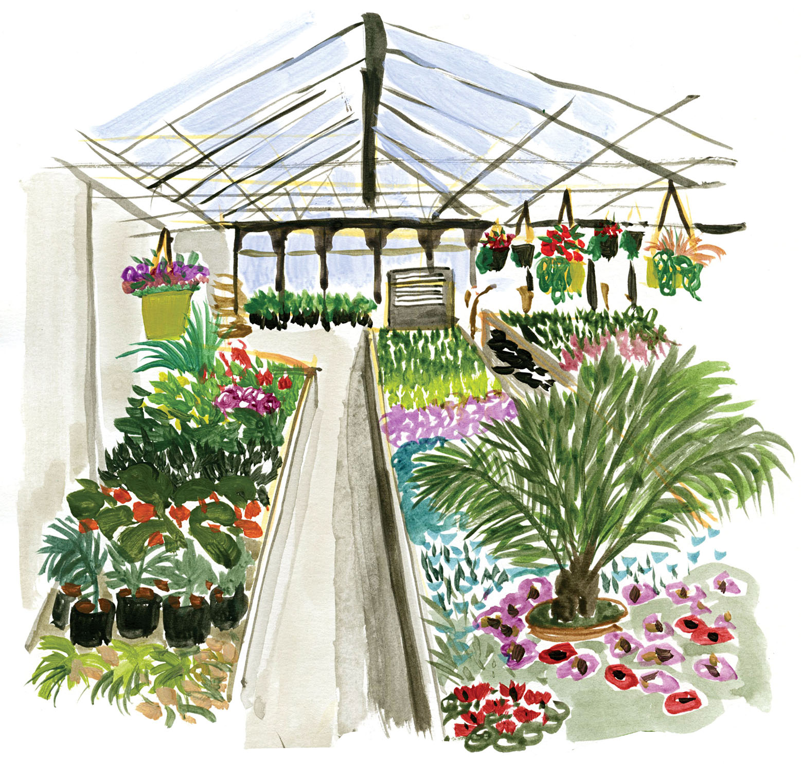 Greenhouse Drawing at GetDrawings Free download