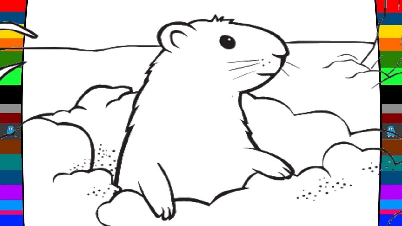 Ground Hog Drawing at GetDrawings | Free download