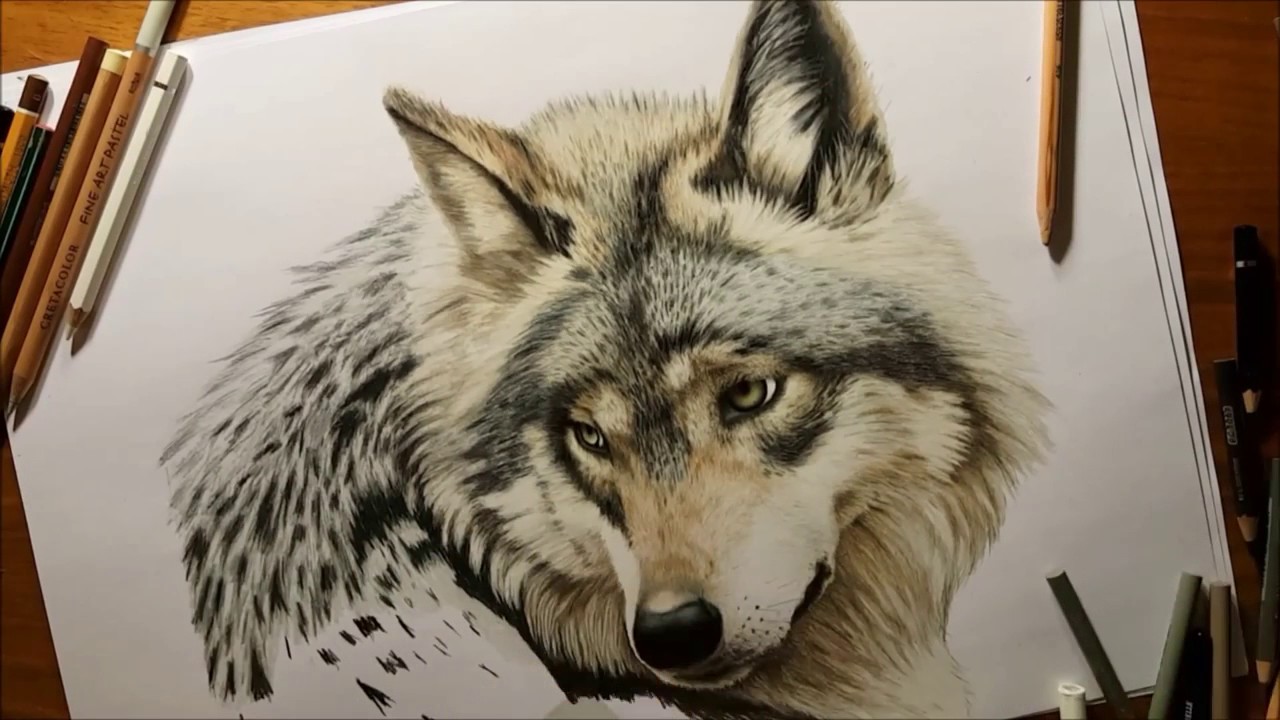 Growling Wolf Drawing at GetDrawings Free download