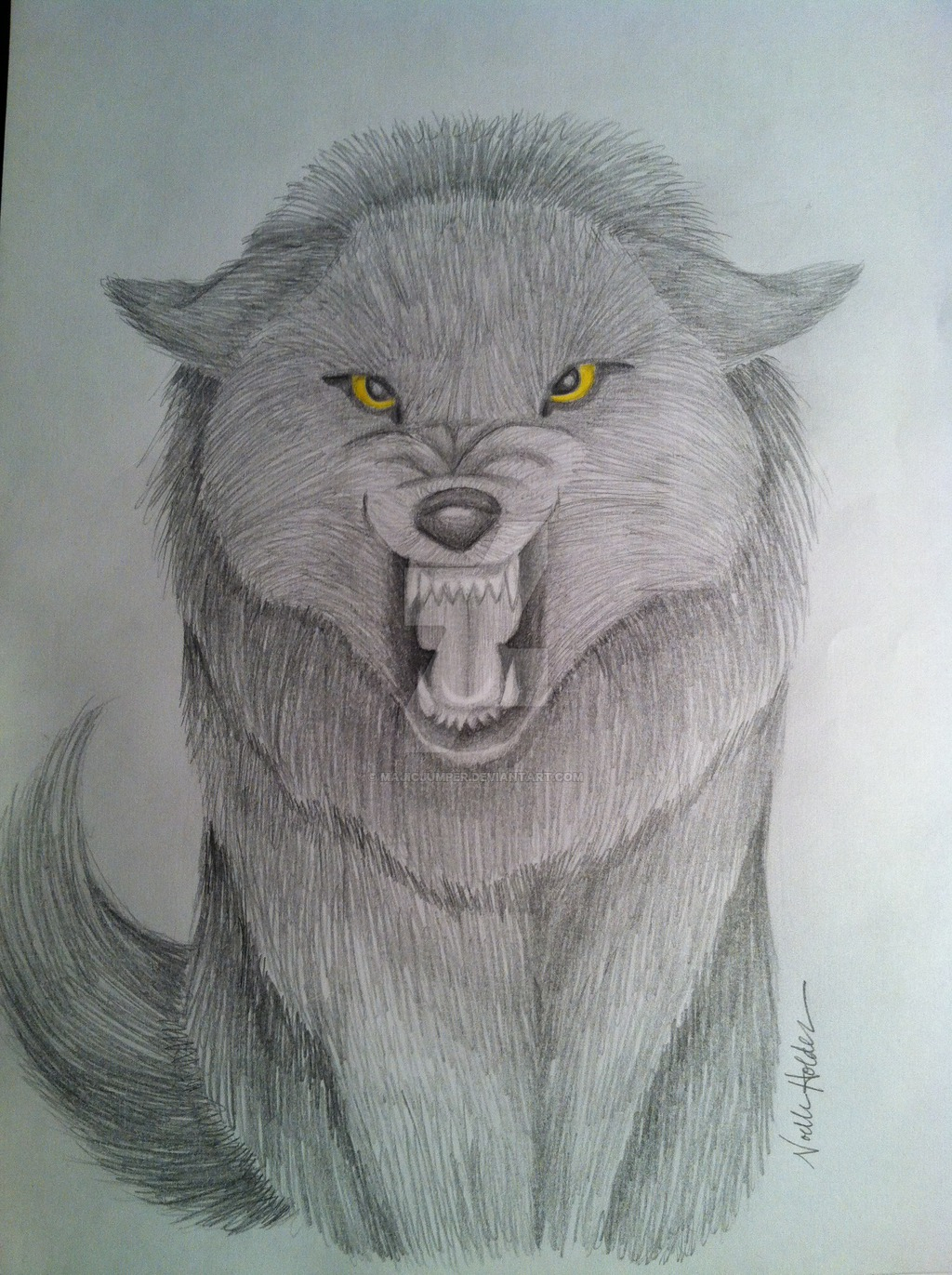 Growling Wolf Drawing at GetDrawings Free download