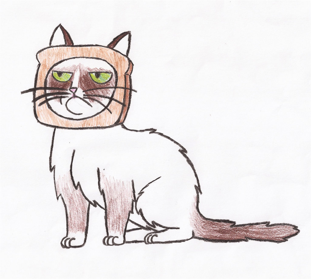 Grumpy Cat Cartoon Drawing at GetDrawings | Free download