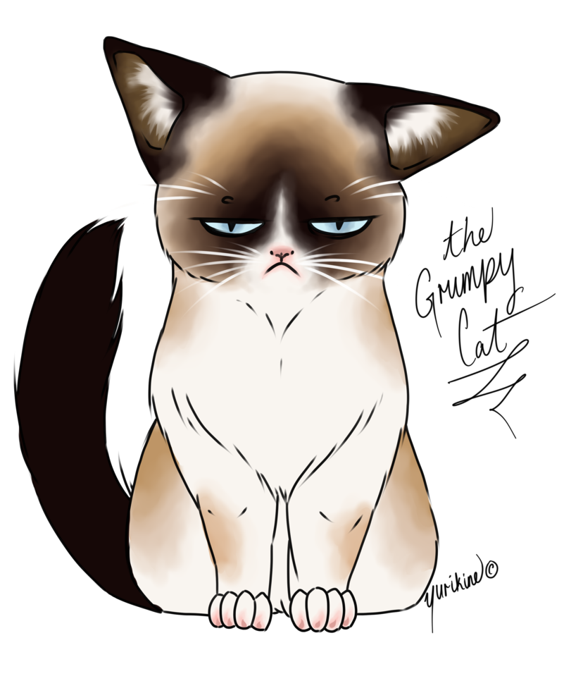 Grumpy Cat Drawing at GetDrawings | Free download