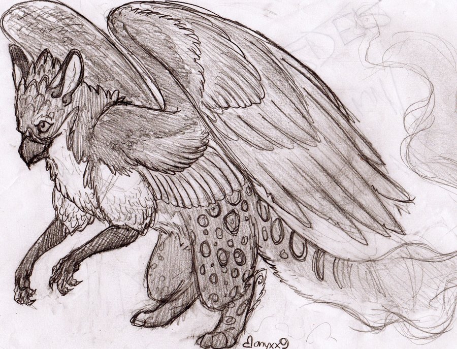 900x687 Gryphon Drawing 3 Byyxx9.