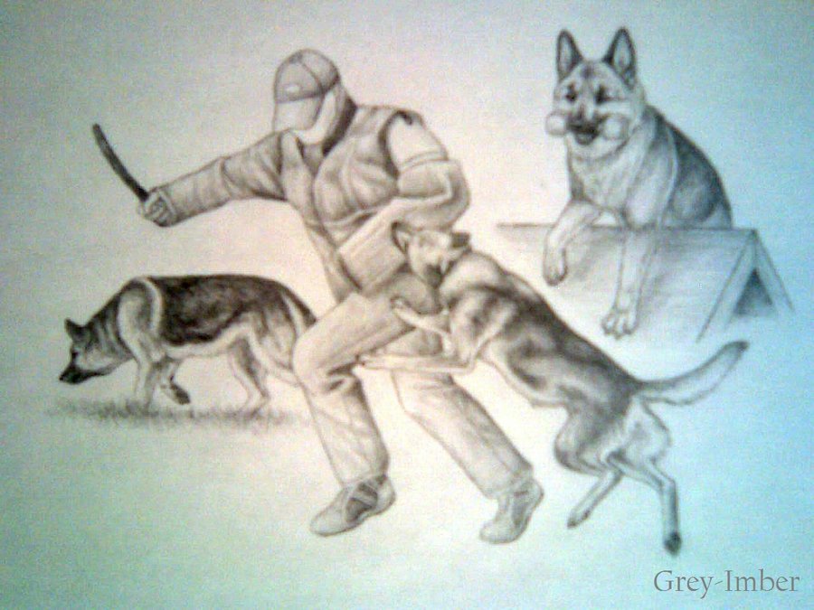 Guard Dog Drawing at GetDrawings Free download