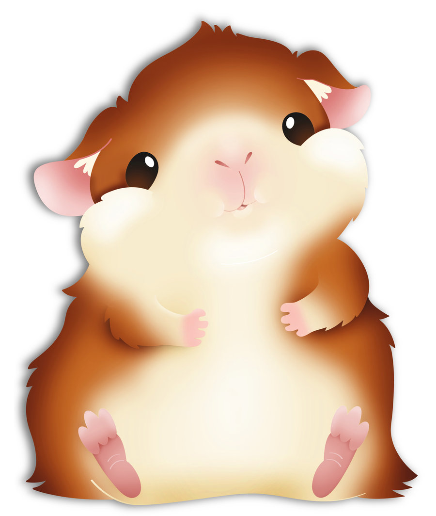 Guinea Pig Cartoon Drawing at GetDrawings | Free download