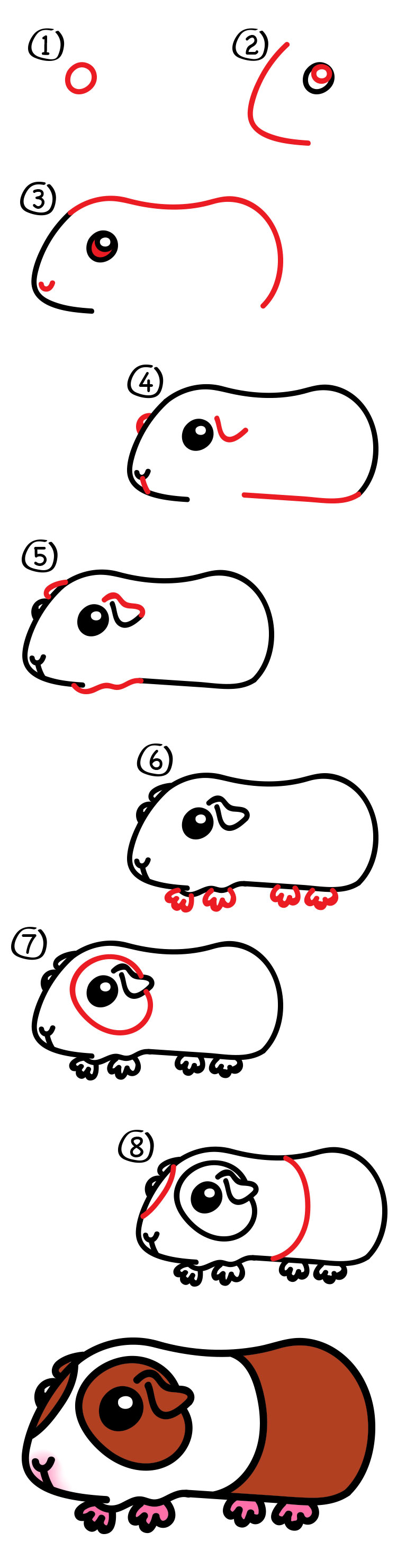 Great How To Draw Guinea Pigs in the year 2023 Learn more here 