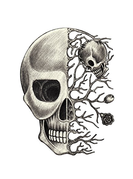 Half Skull Drawing At Getdrawings Free Download 5265