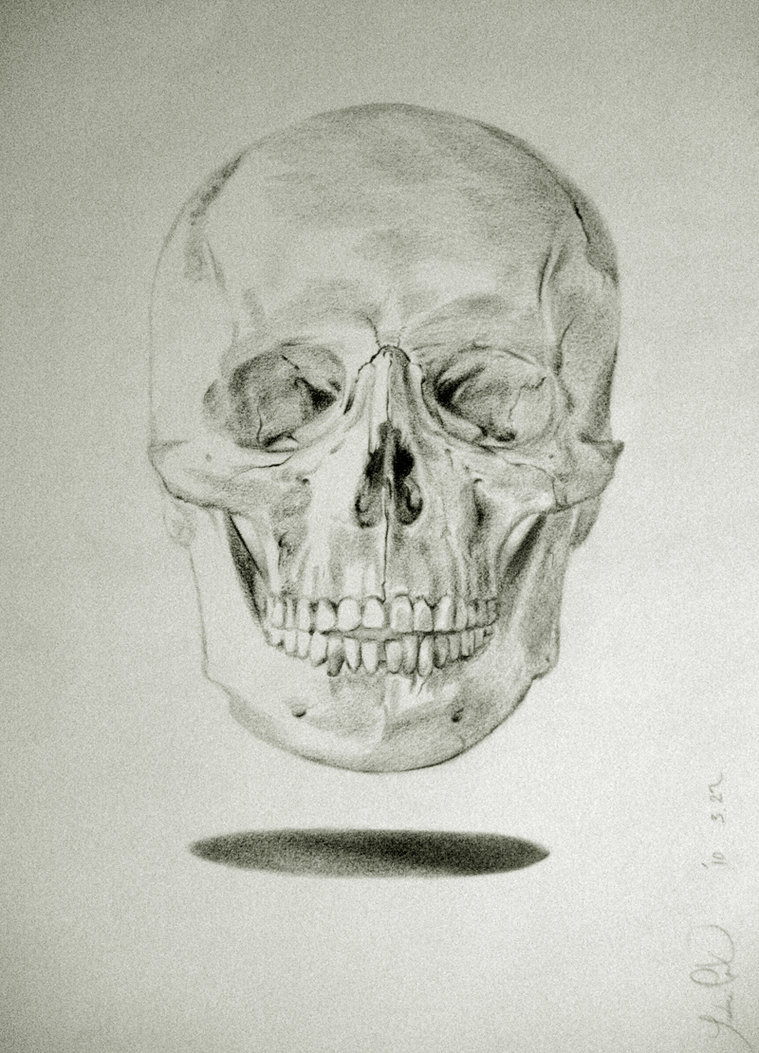 Hamlet Skull Drawing at GetDrawings | Free download