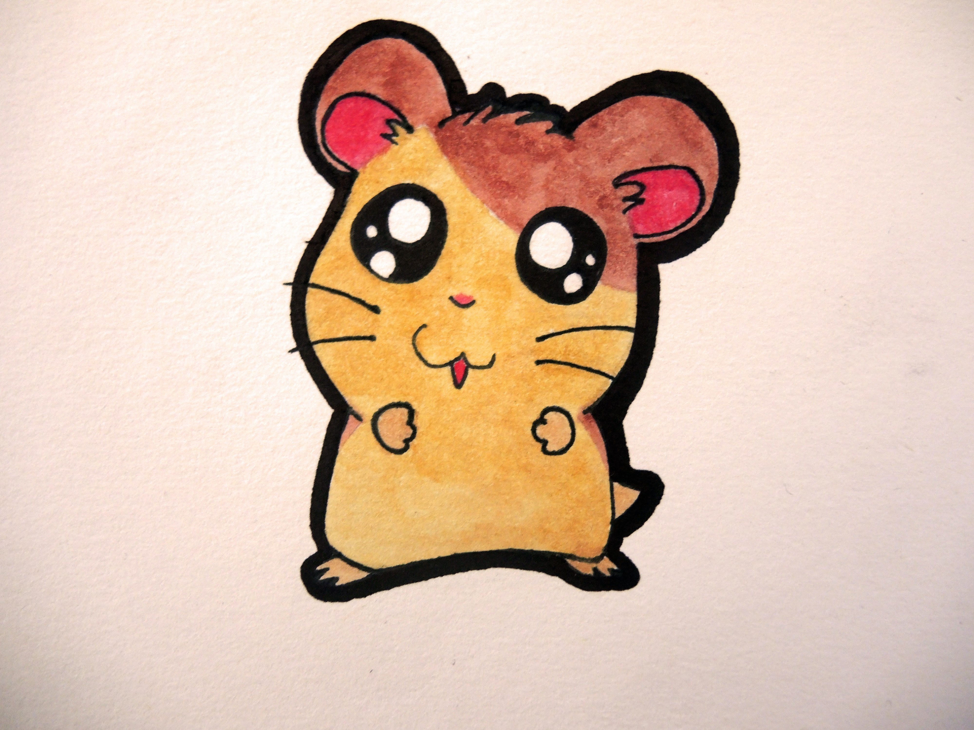 Hamster Cartoon Drawing at GetDrawings Free download