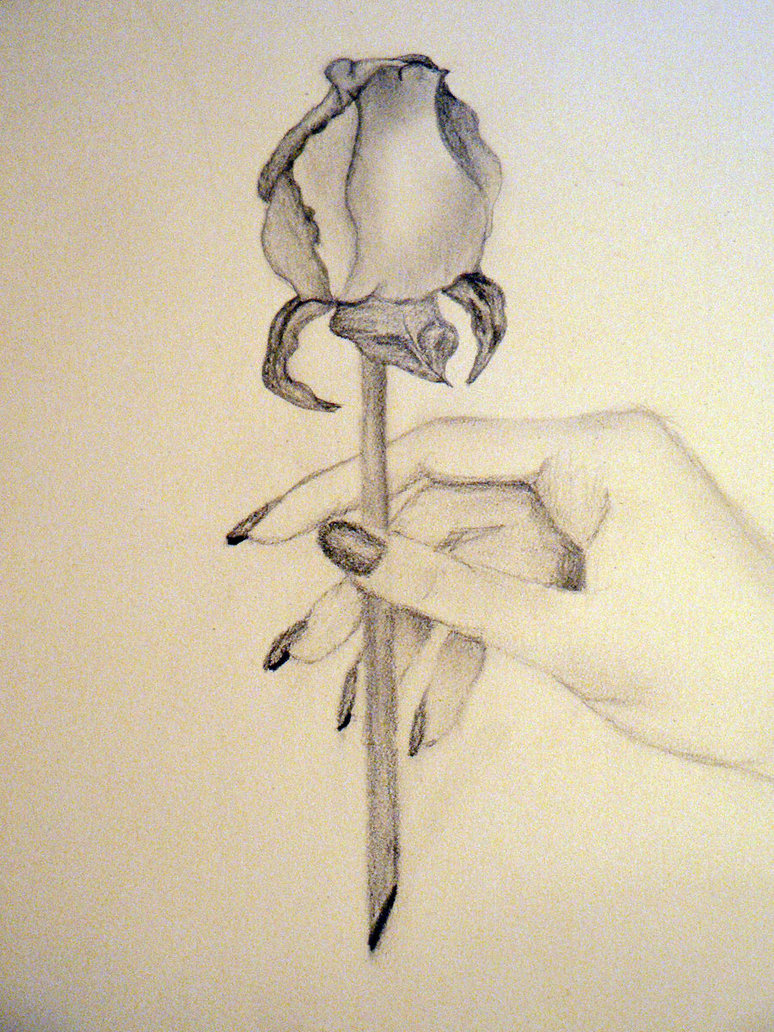 Hand Holding A Rose Drawing at GetDrawings | Free download