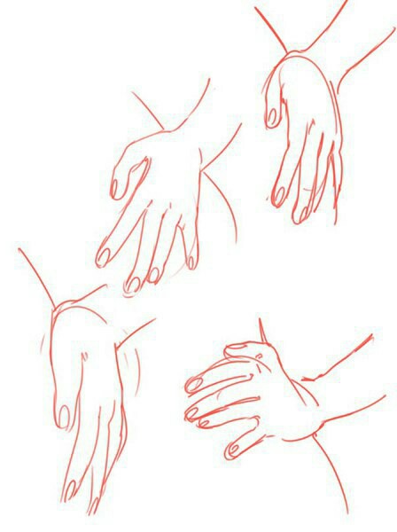 Hand Reference Drawing at GetDrawings | Free download